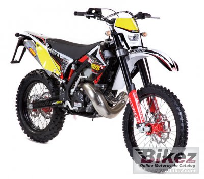 2010 GAS GAS EC 125 2T Six-Days photo